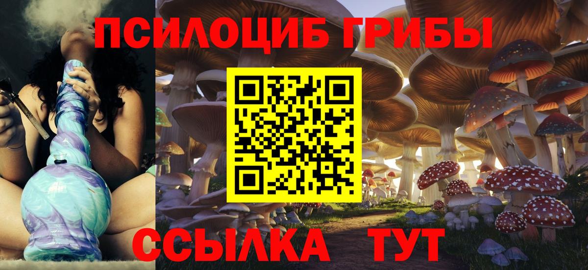 где купить наркоту  Вход с VPN  Псилоцибиновые грибы мицелий  Анжеро-Судженск  Галлюциногенные грибы Psilocybe 